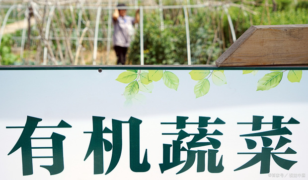 如何区别有机与无机,有机认证 如何区别有机与无机,有机认证