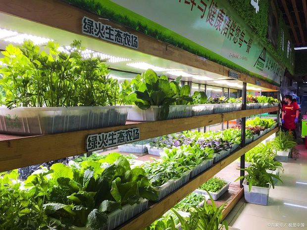 如何区别有机与无机,有机认证 如何区别有机与无机,有机认证