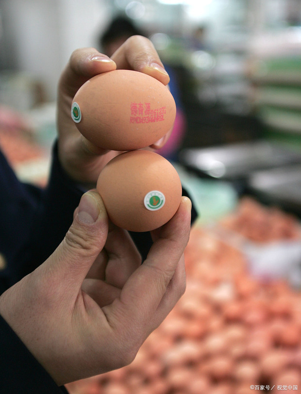 如何区别有机与无机,有机认证 如何区别有机与无机,有机认证